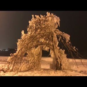 Meet your Posher, Darrin